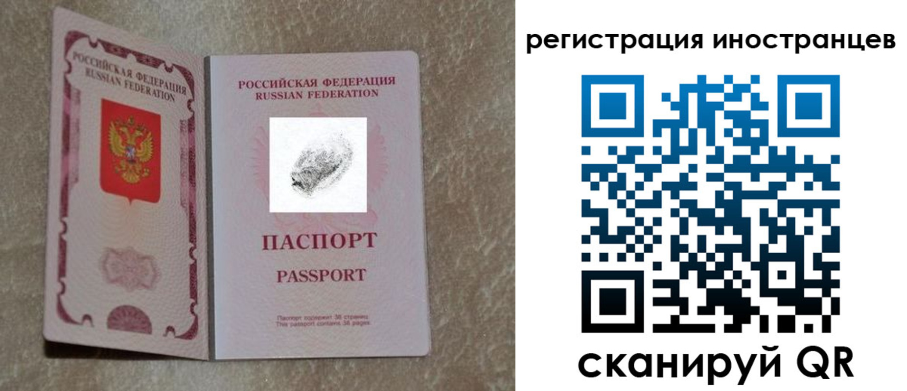 прописка законно в Мурманской области